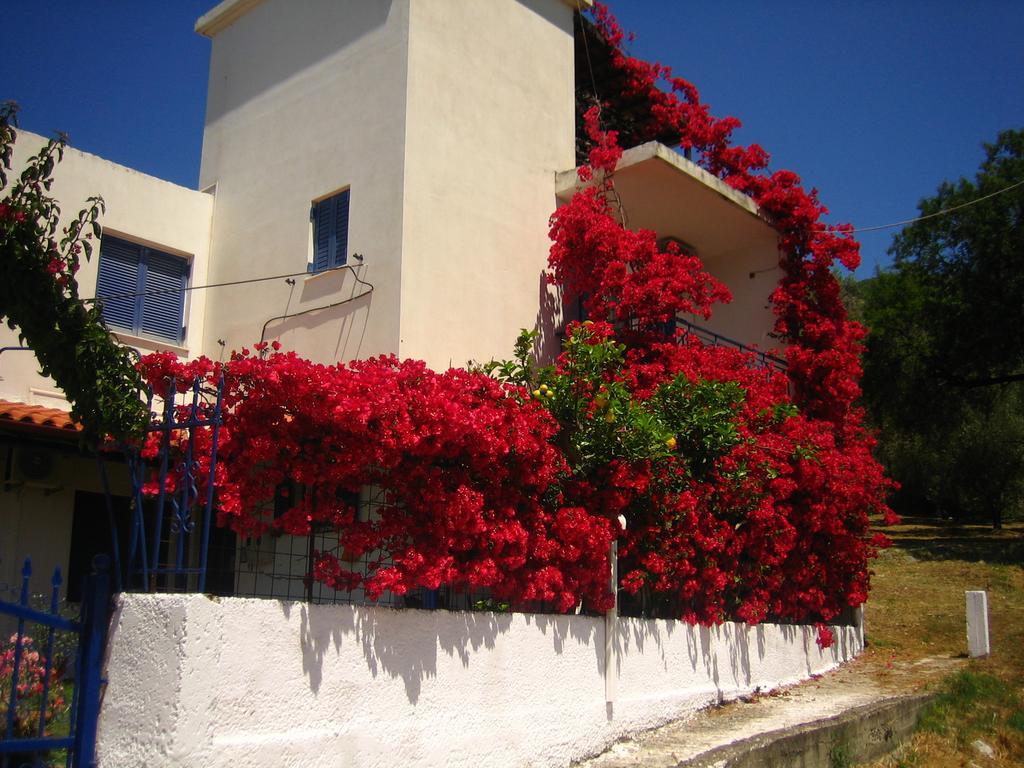 Villa Rosanna Plataria Bagian luar foto